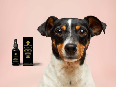 VetHealth – hemp oil for pets: when, how, why and how much?